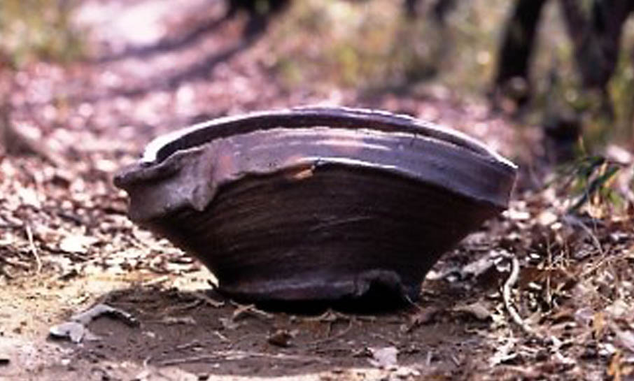 原田拾六　備前大擂鉢