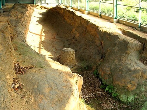 画像に alt 属性が指定されていません。ファイル名: %E5%85%A8%E9%95%B716%E3%80%81%E5%B9%853.5m%E3%80%82.jpg